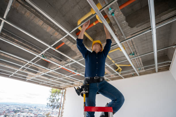 Best Emergency Plumbing Repair  in Linthicum, MD